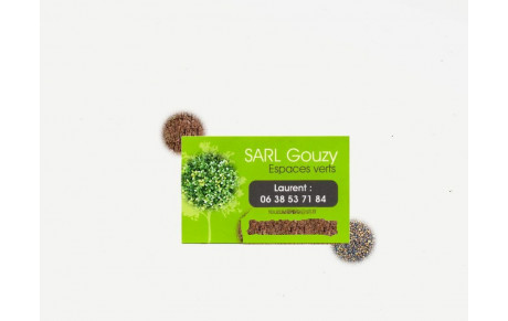 SARL GOUZY